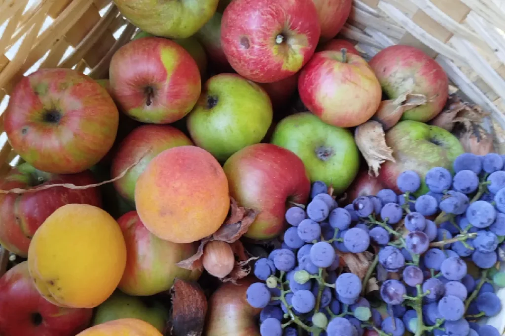 que frutas puede comer un diabetico
